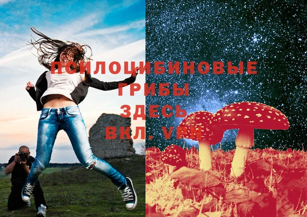 дурь Липки