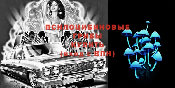 первитин Лиски