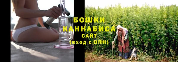 первитин Лиски